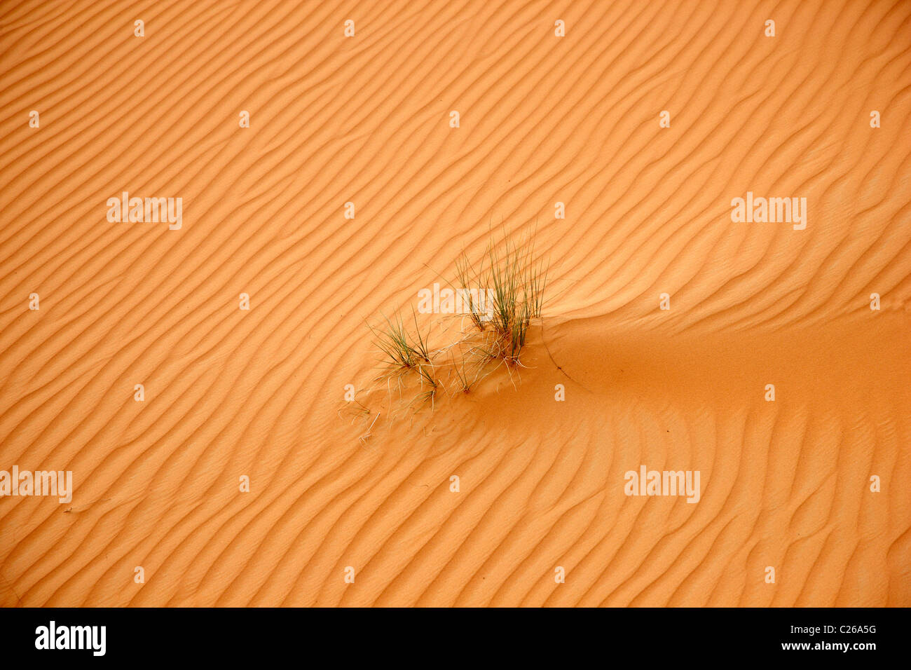 Rub'al-Khali  desert, also called Empty Quarter, biggest sand desert .Huge sand dunes. Abu Dhabi, United Arab Emirates Stock Photo