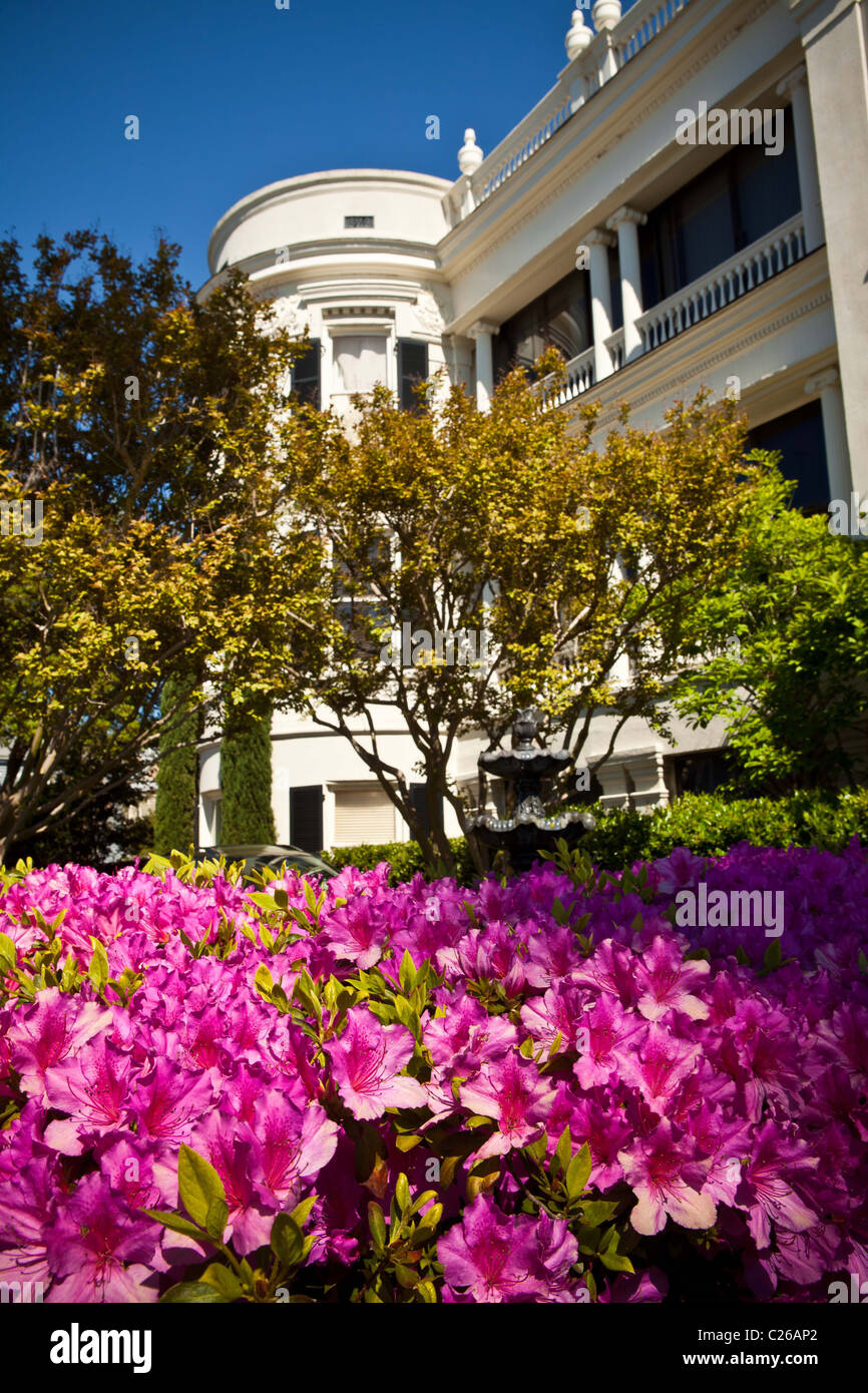 Historic homes along the Battery in Charleston, SC with azaleas in bloom. Stock Photo