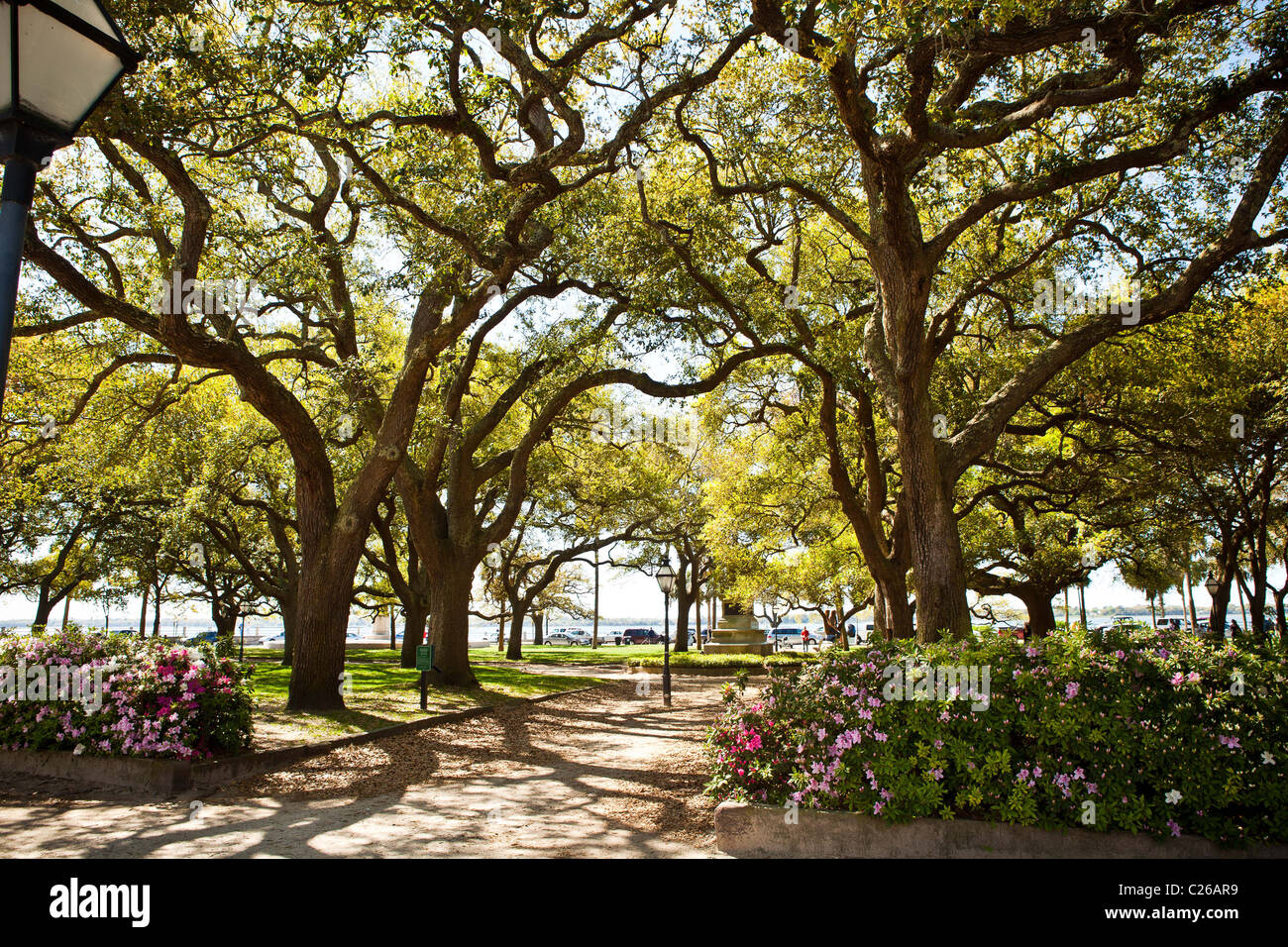 White Point Gardens along the Battery in Charleston, SC. Stock Photo