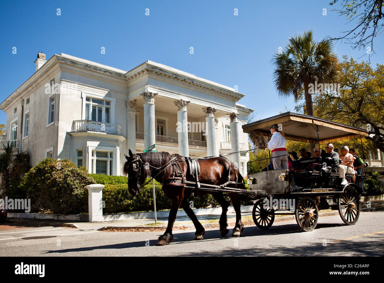 palmetto horse carriage tours