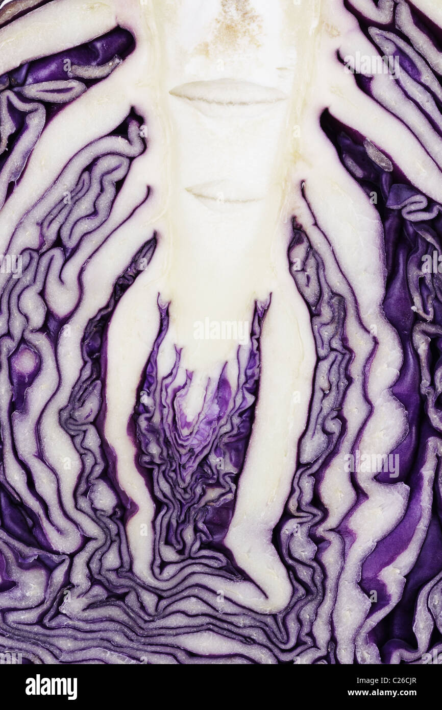 Close up of cut surface texture of red cabbage Stock Photo