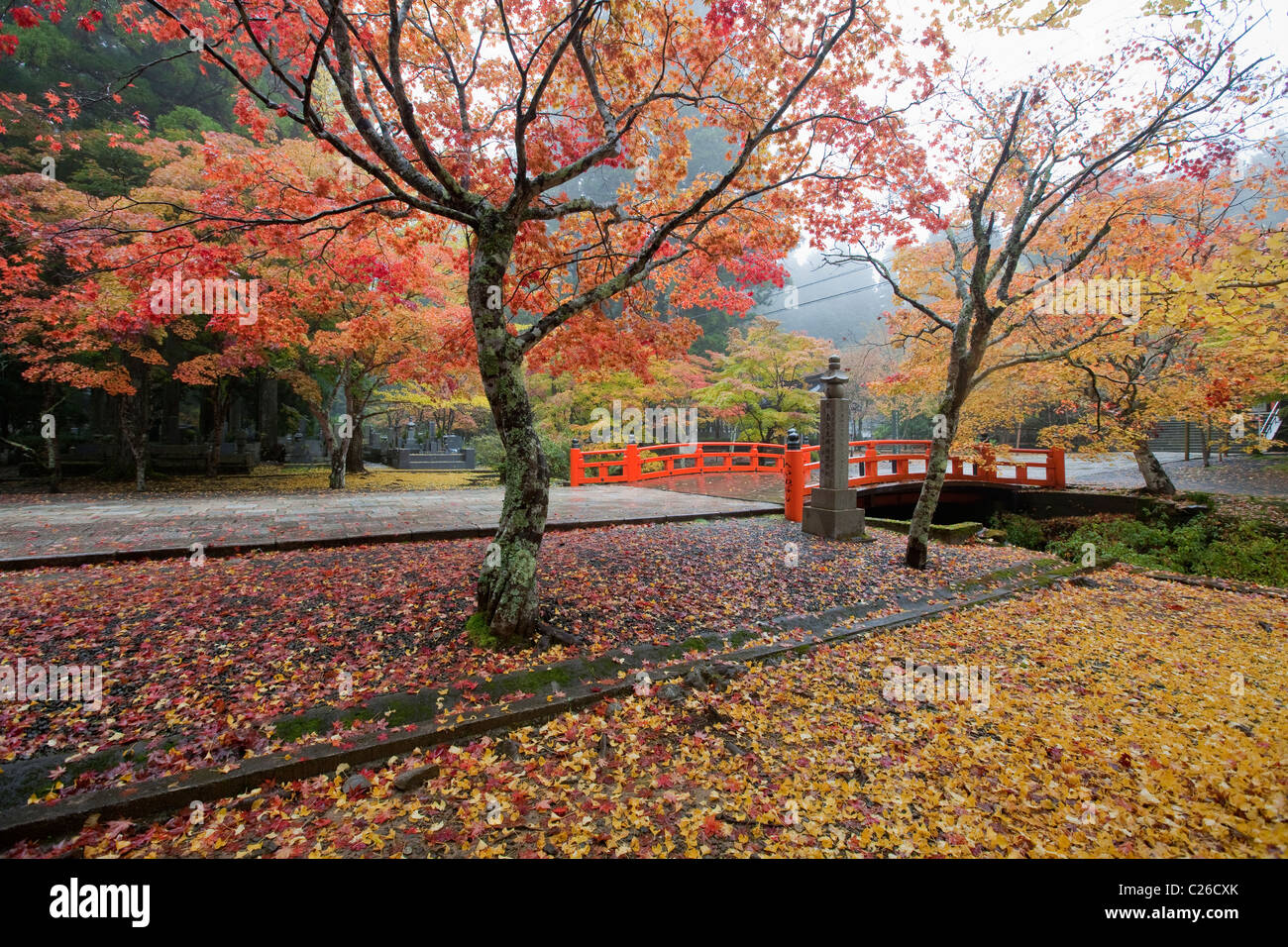 Autumn leaves and vermilion bridge in the rain at Oku no in Stock Autumn leaves and vermilion bridge in the rain at Oku no in Stock