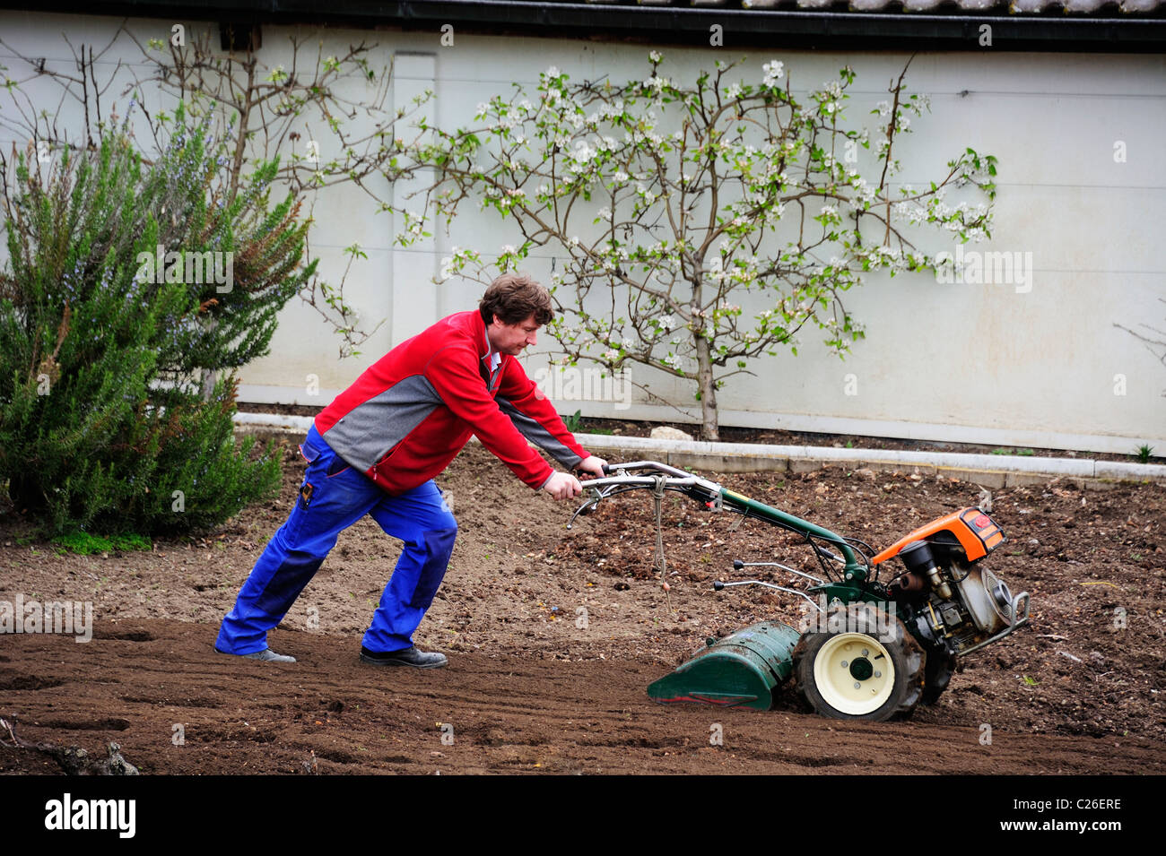 Tiller rotavator 2024
