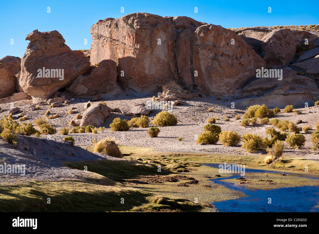 Rural view of a water oasis in South West Bolivia, South America. Stock Photo