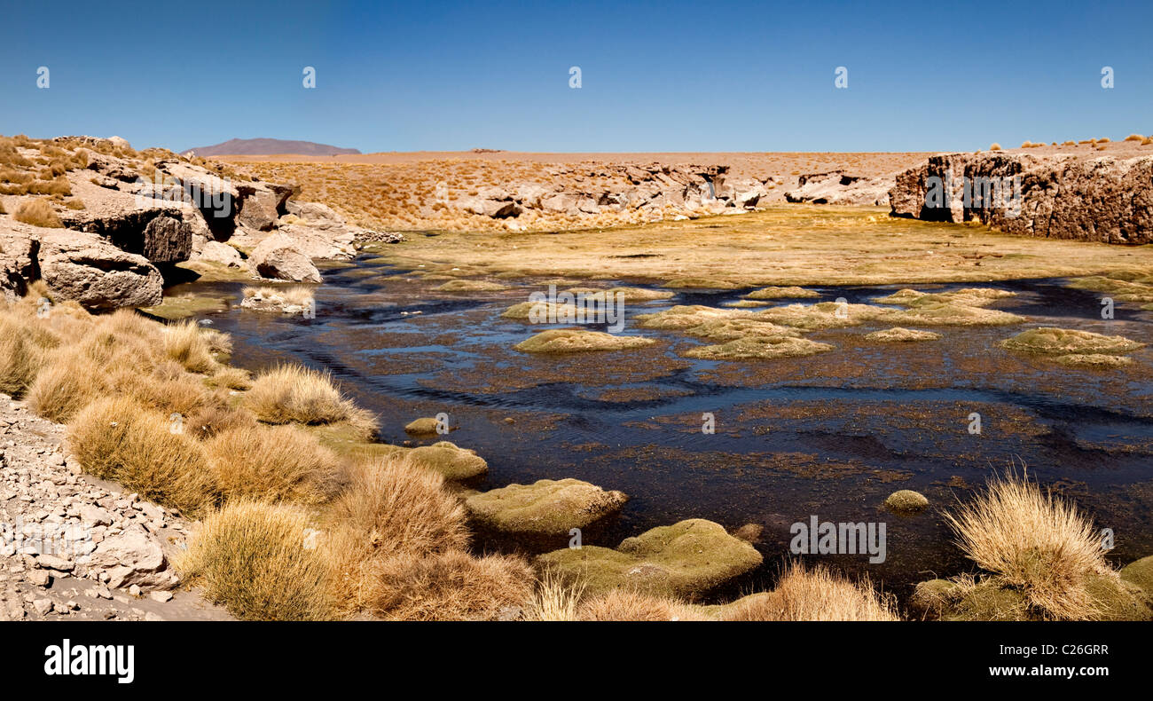 Rural view of a water oasis in South West Bolivia, South America. Stock Photo