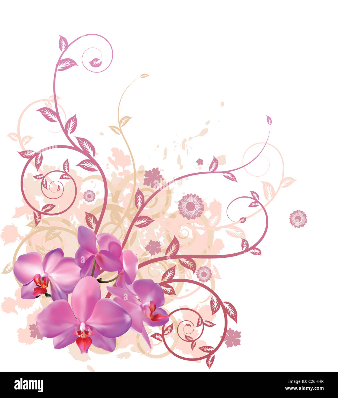 A very stylish vector floral background illustration with pink orchid flowers. Stock Photo