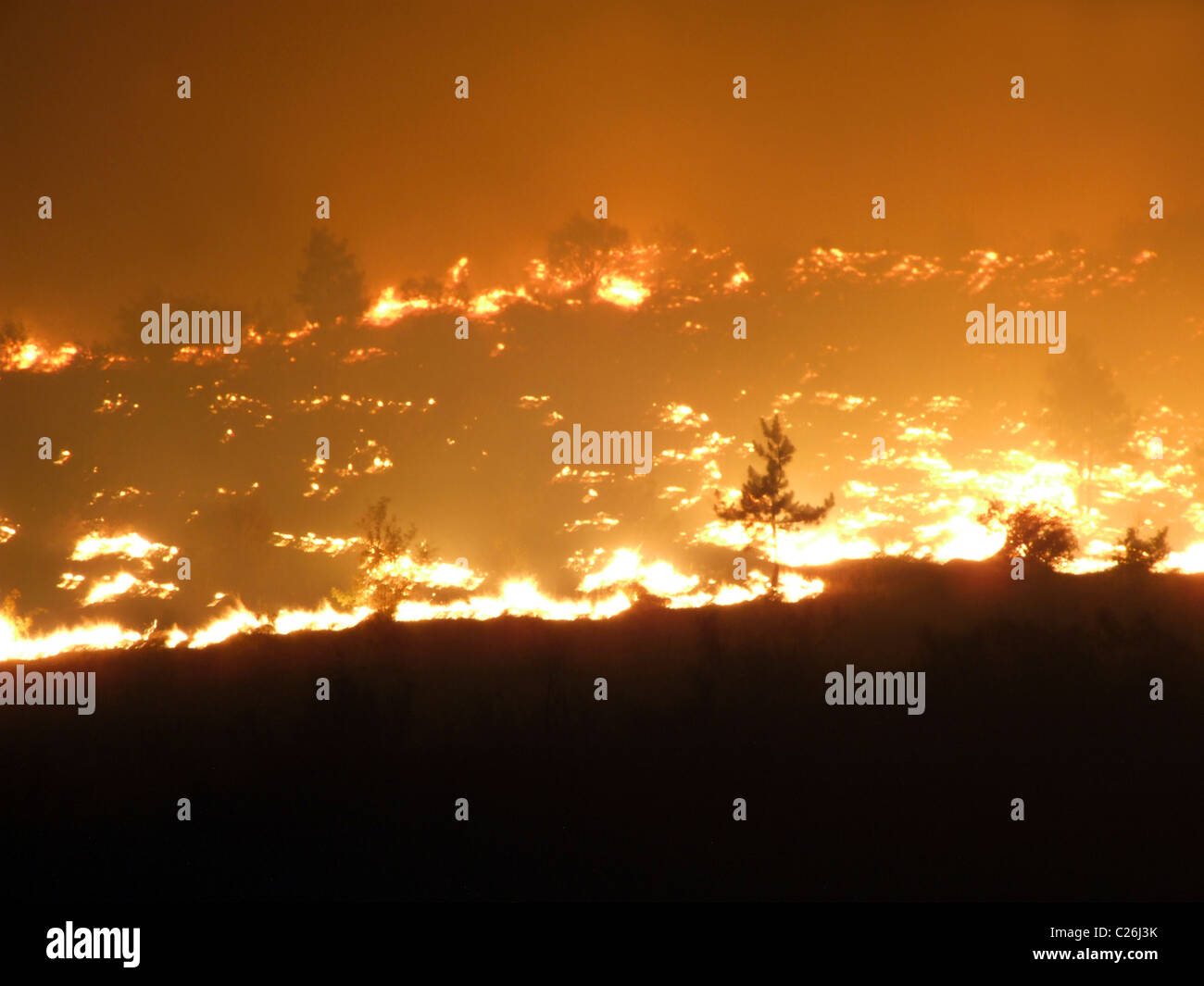 fire in the forest; the shooting of emergency Stock Photo - Alamy