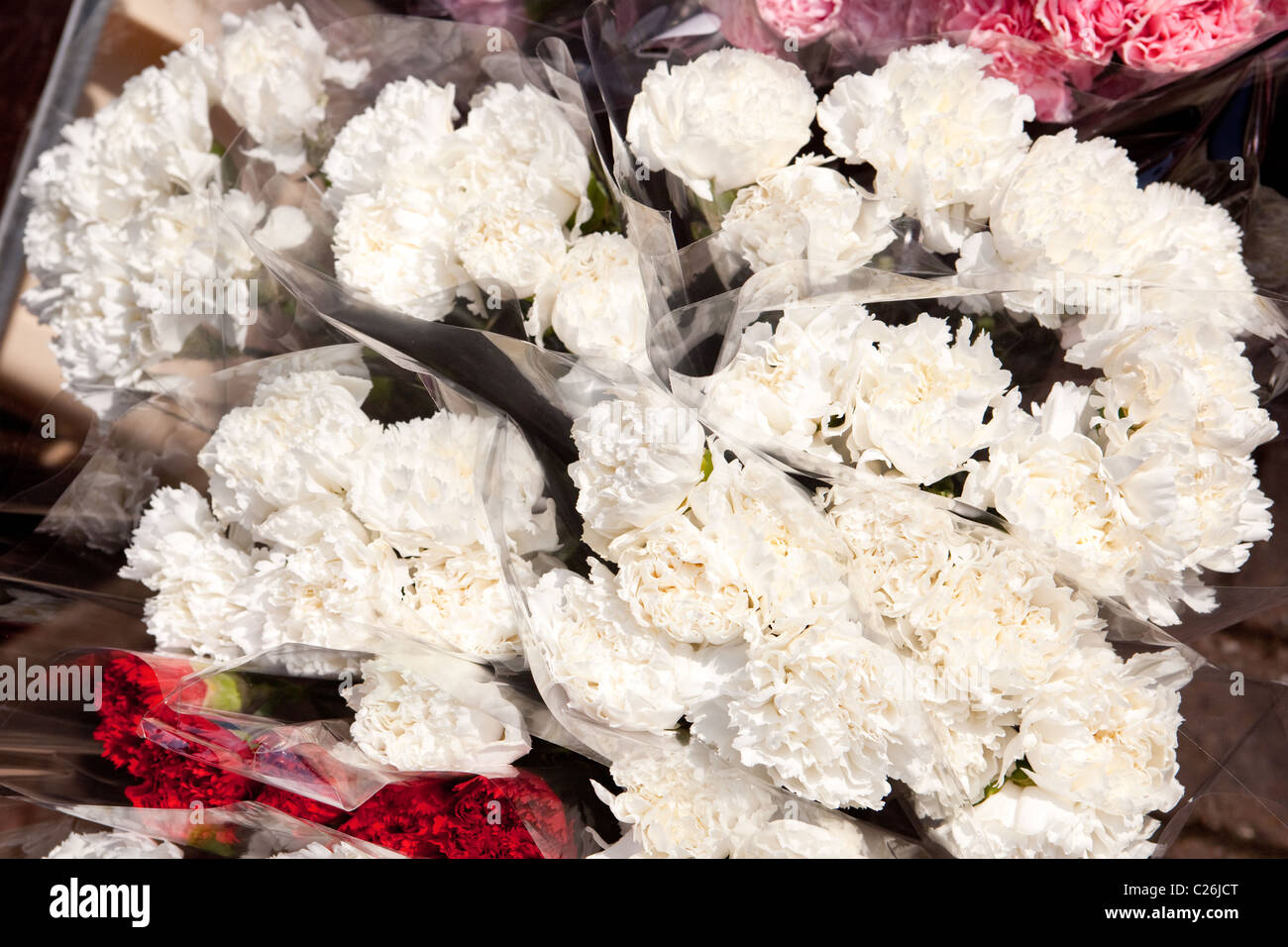 White Carnations for sale.Street trader Salisbury England UK Stock