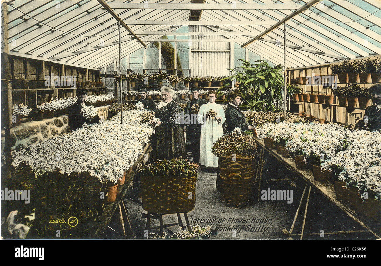 Postcard showing Interior of Flower House, Isles of Scilly Stock Photo