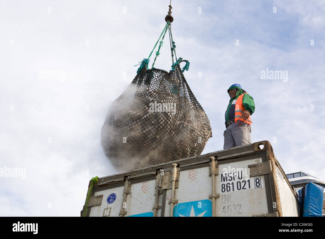 Tuna being unloaded from fishing boat to container, Manta, Ecuador Stock Photo