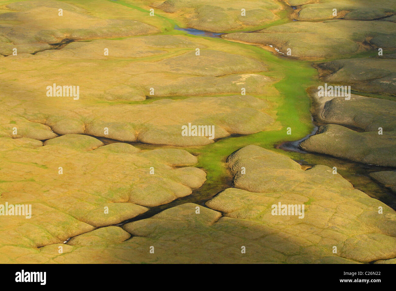 Aerial view of tundra. Yamal peninsula, RUSSIA Stock Photo