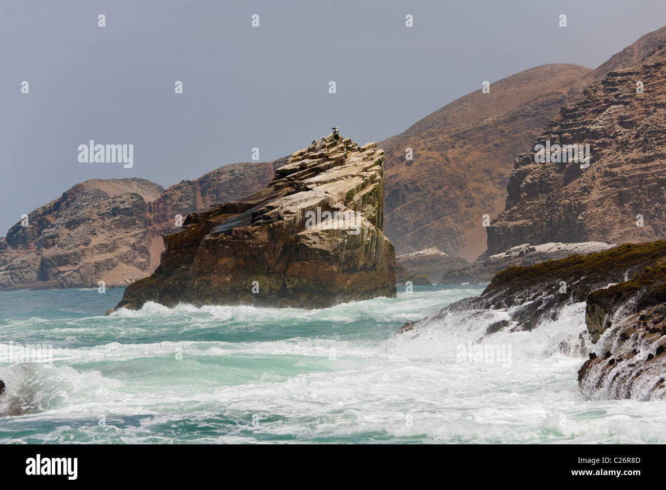 Palomino Islands, Callao, Lima, Peru Stock Photo