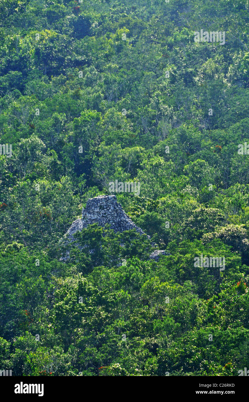 Ruins in the Jungle at Coba Yucatan Mexico Stock Photo