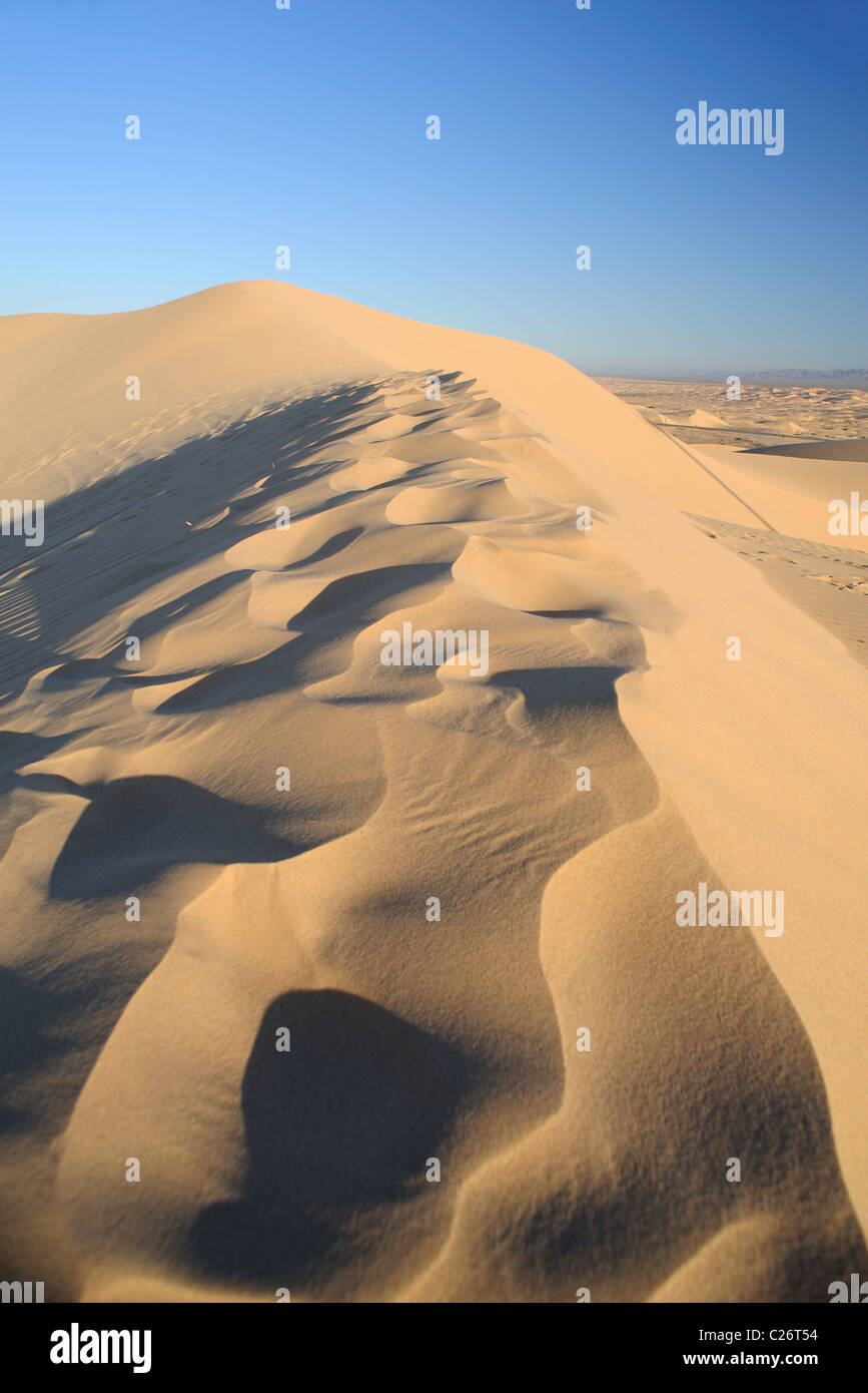 Sand dunes in the early morning Glamis, Southern California Stock Photo ...