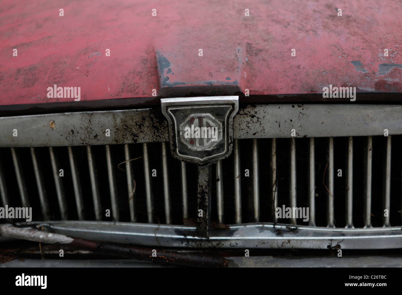 MG British Sportscar sits before auction sale next to a barn in rural Indiana. sports car MGT emblem detail Stock Photo