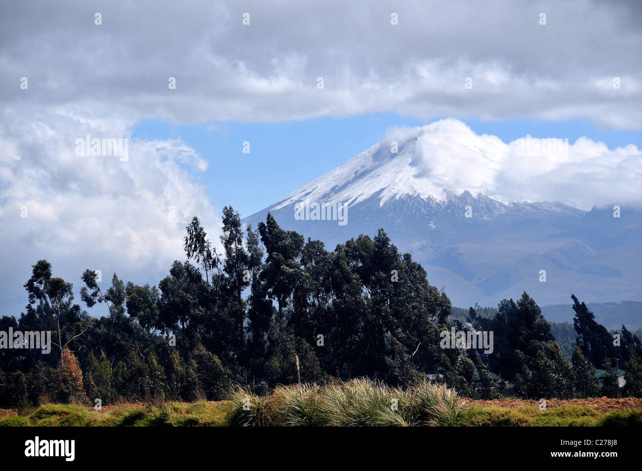 Cotopaxi volcano landscape in hi-res stock photography and images - Alamy