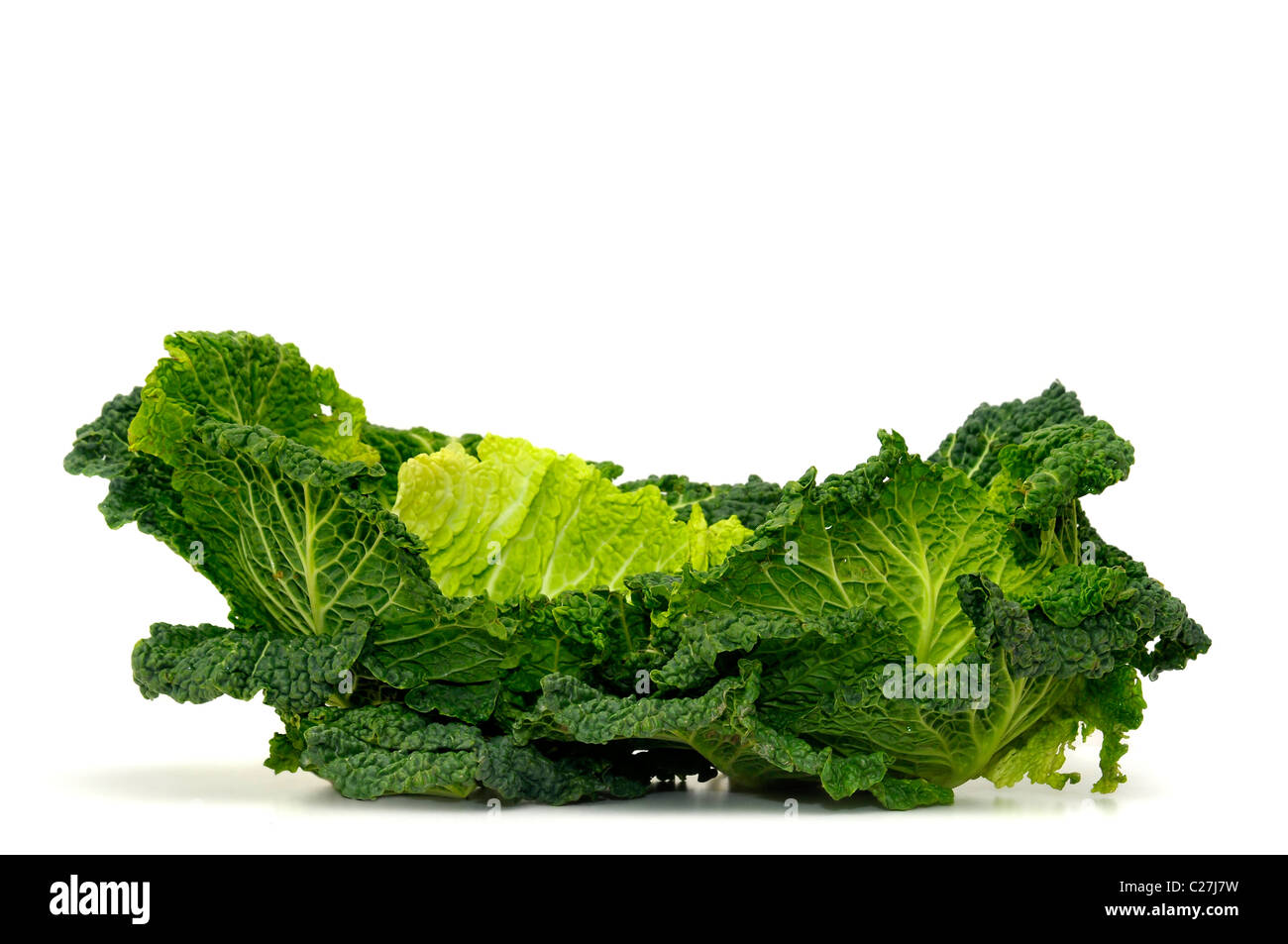 Beautiful cabbage isolated in white Stock Photo