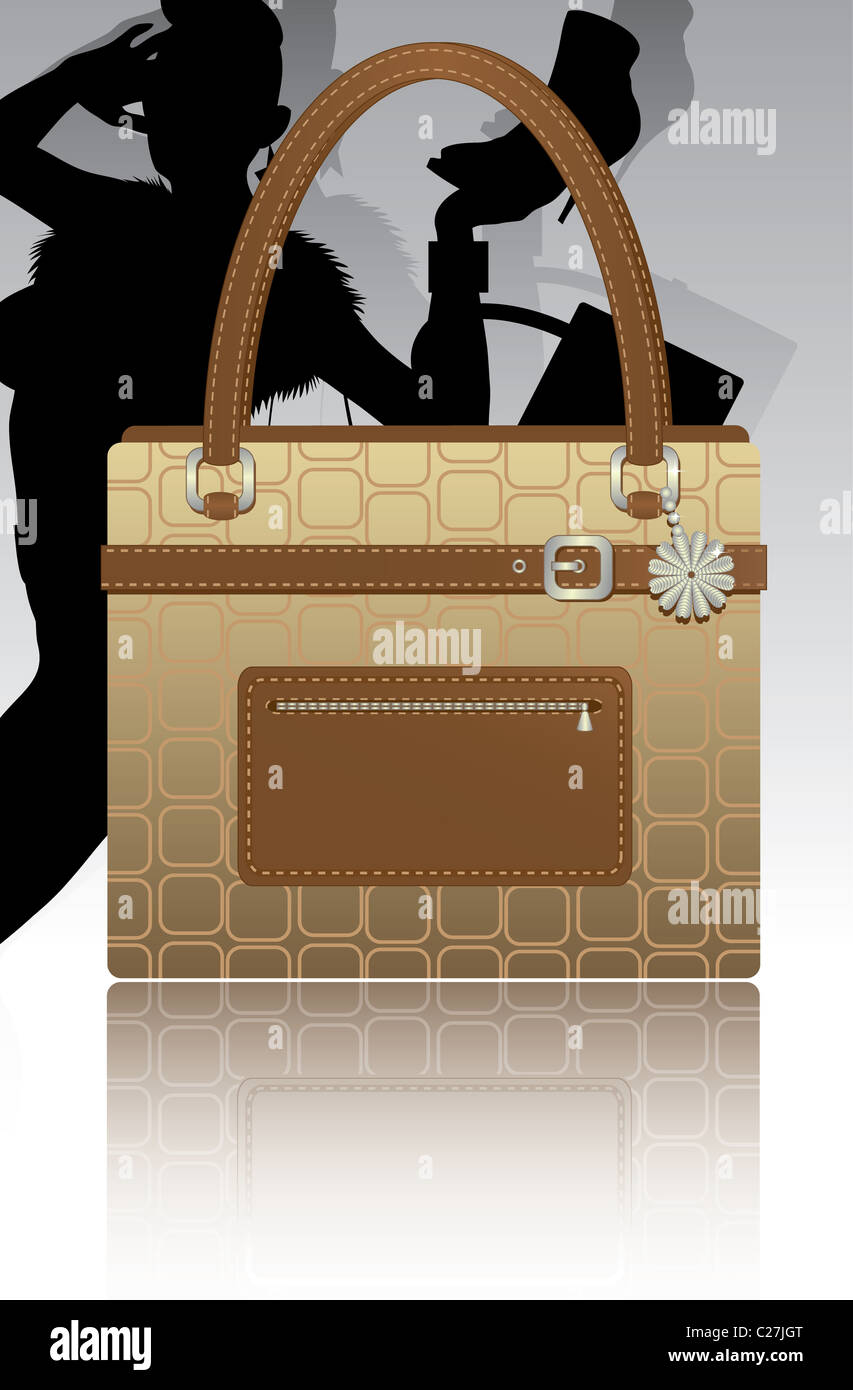 Womans footwear and handbag vector illustration Stock Photo