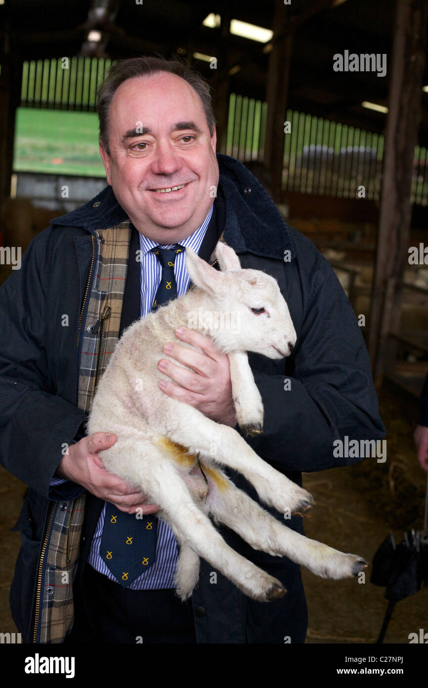 Alex Salmond highland election tour Stock Photo