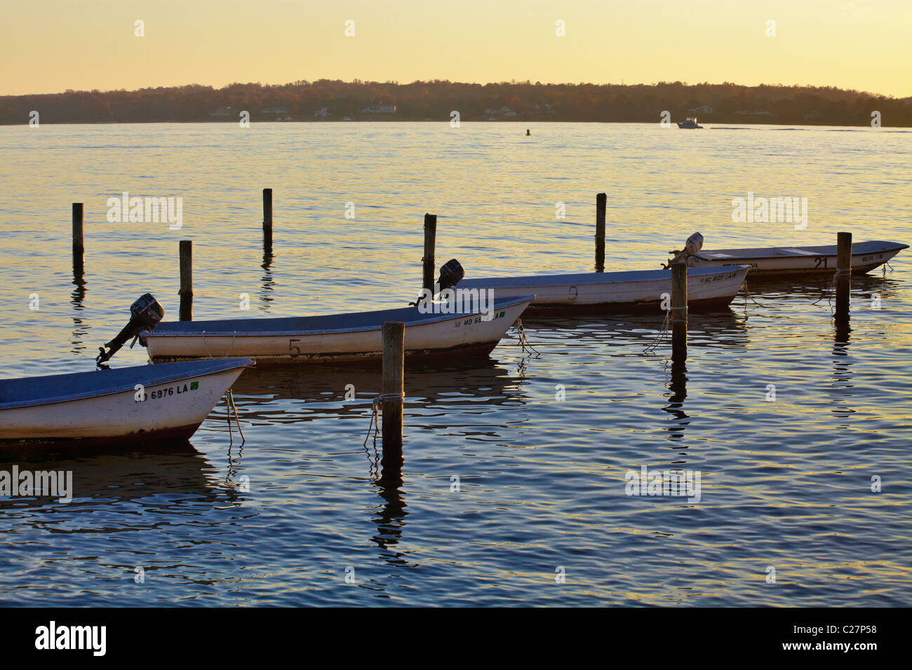Rental boats align in their moorings on the Patuxent River, Solomon’s