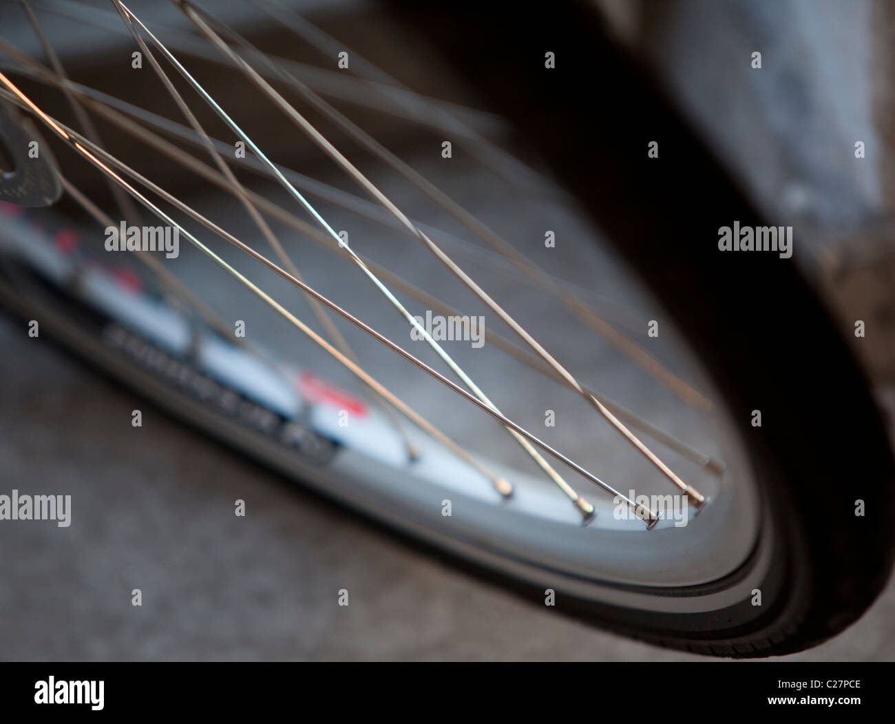 spokes of a bicycle wheel