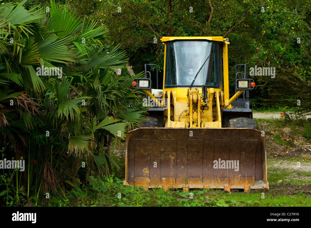 Heavy Bulldozer Used For Deforestation In Ecuadorian Jungle Stock Photo