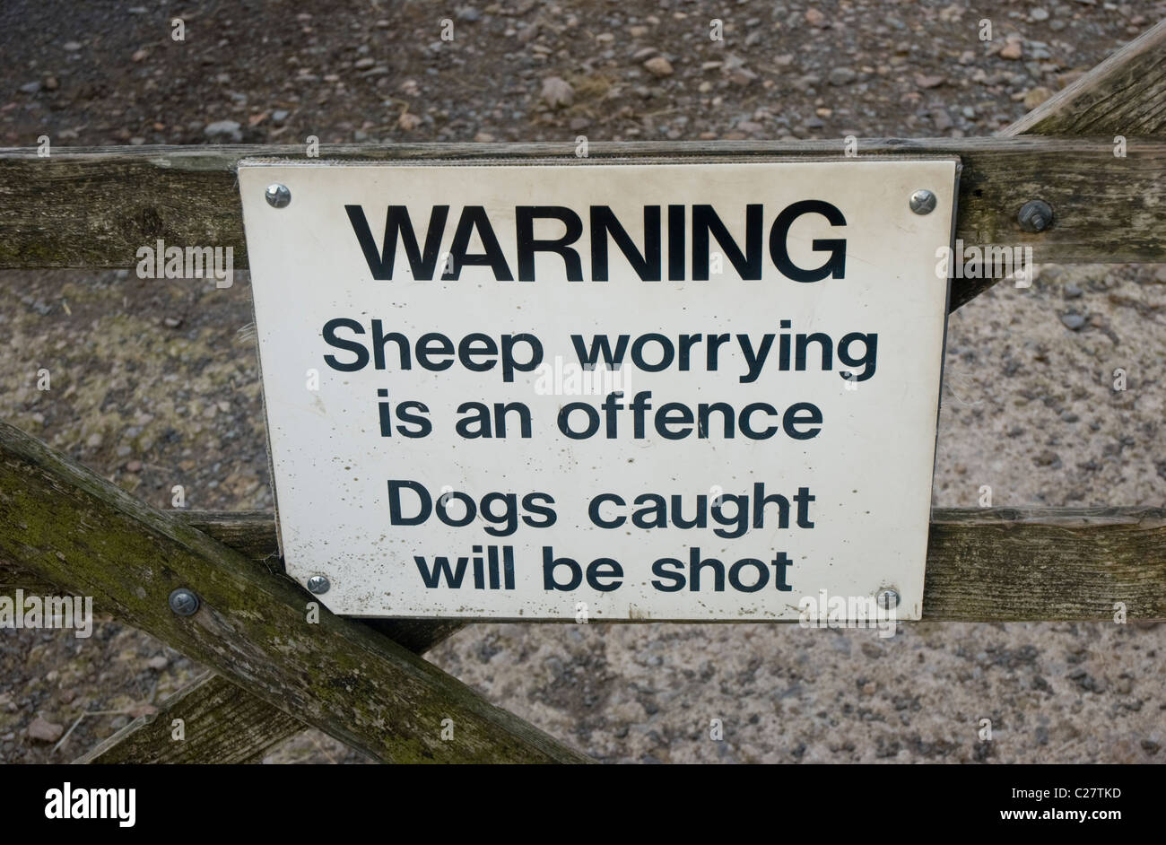 Warning sign about sheep worrying near a Cumbria Farm. Stock Photo