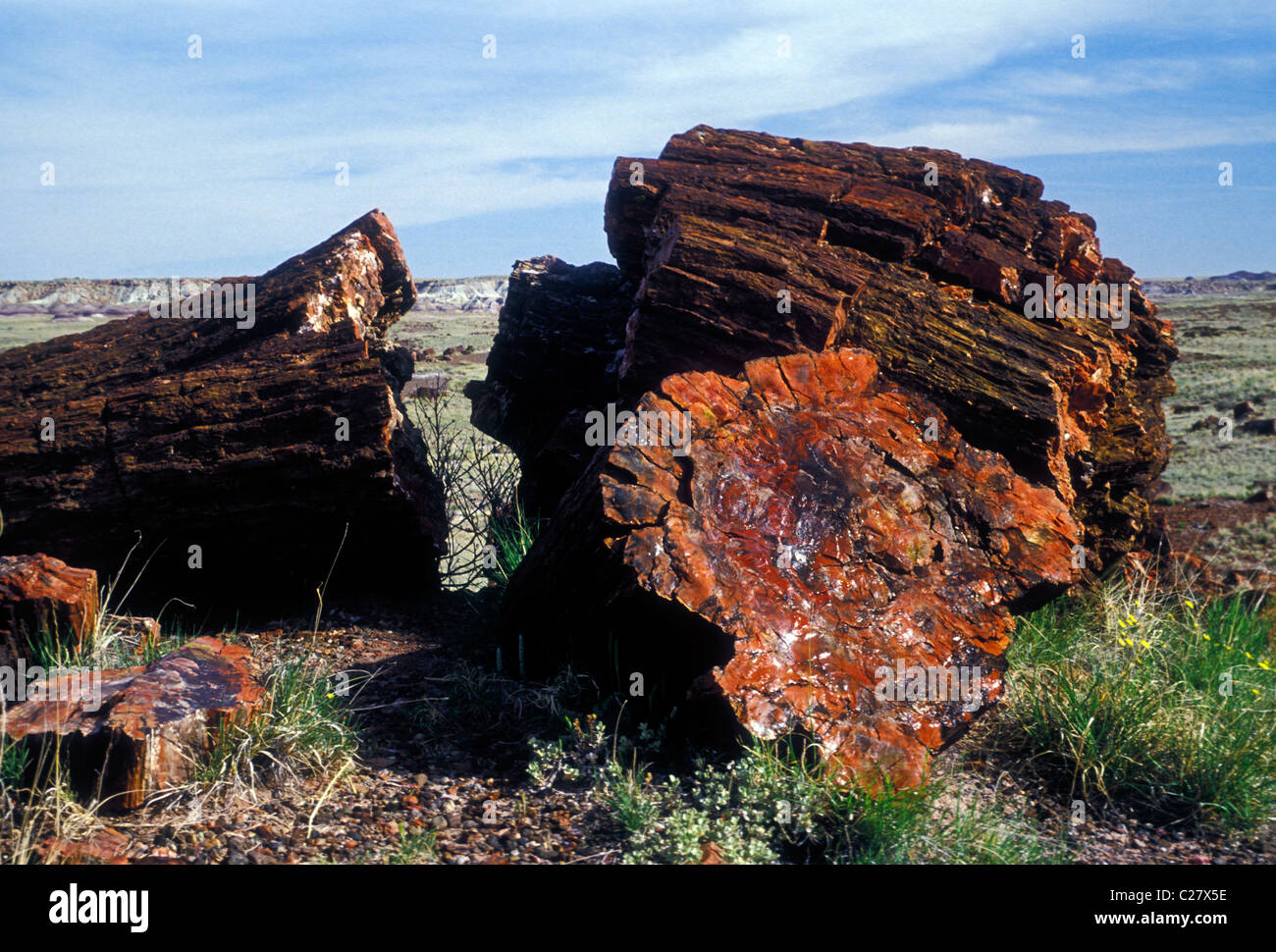 petrified wood log, petrified wood logs, wood log, wood logs, petrified wood, fossilized wood, fossils, Petrified Forest National Park, Arizona Stock Photo