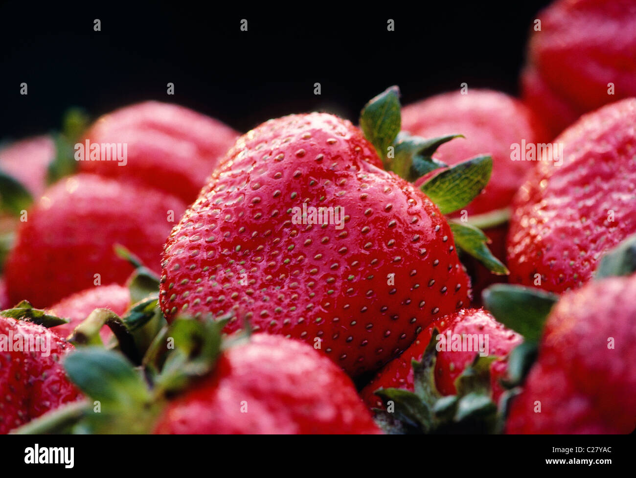 Close up macro of freshly picked garden strawberries Stock Photo - Alamy