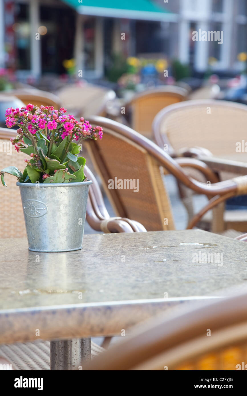 Calm image of flowers in an outdoor Cafe Setting, Taken in Breda, Netherlands. Stock Photo