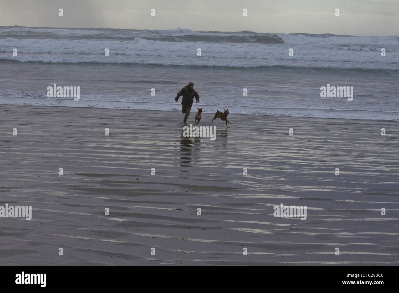 Man and two dogs play in the surf, Pacific Rim National Park, Vancouver Island, British Columbia Stock Photo