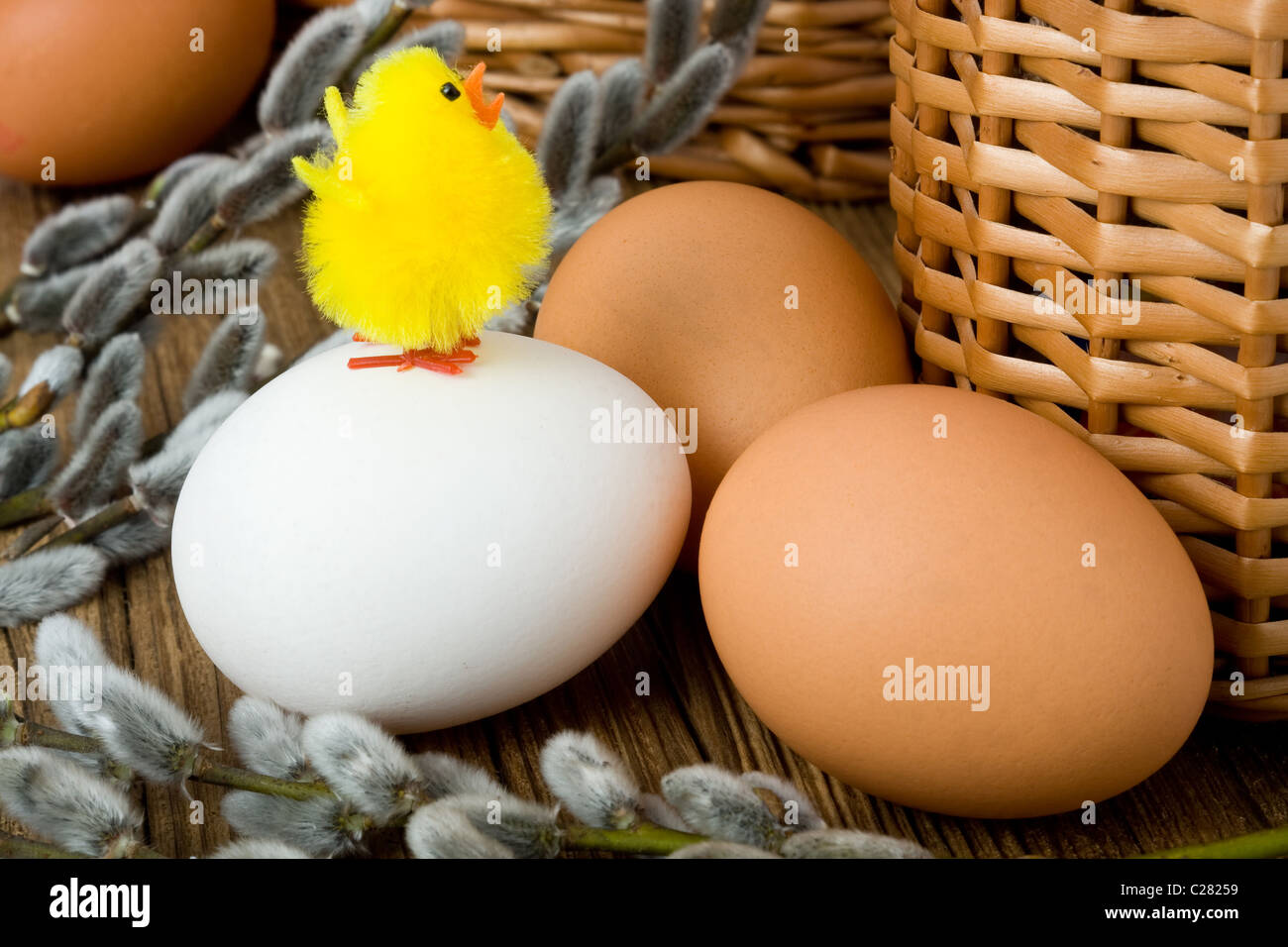 Easter chick, catkins and eggs Stock Photo