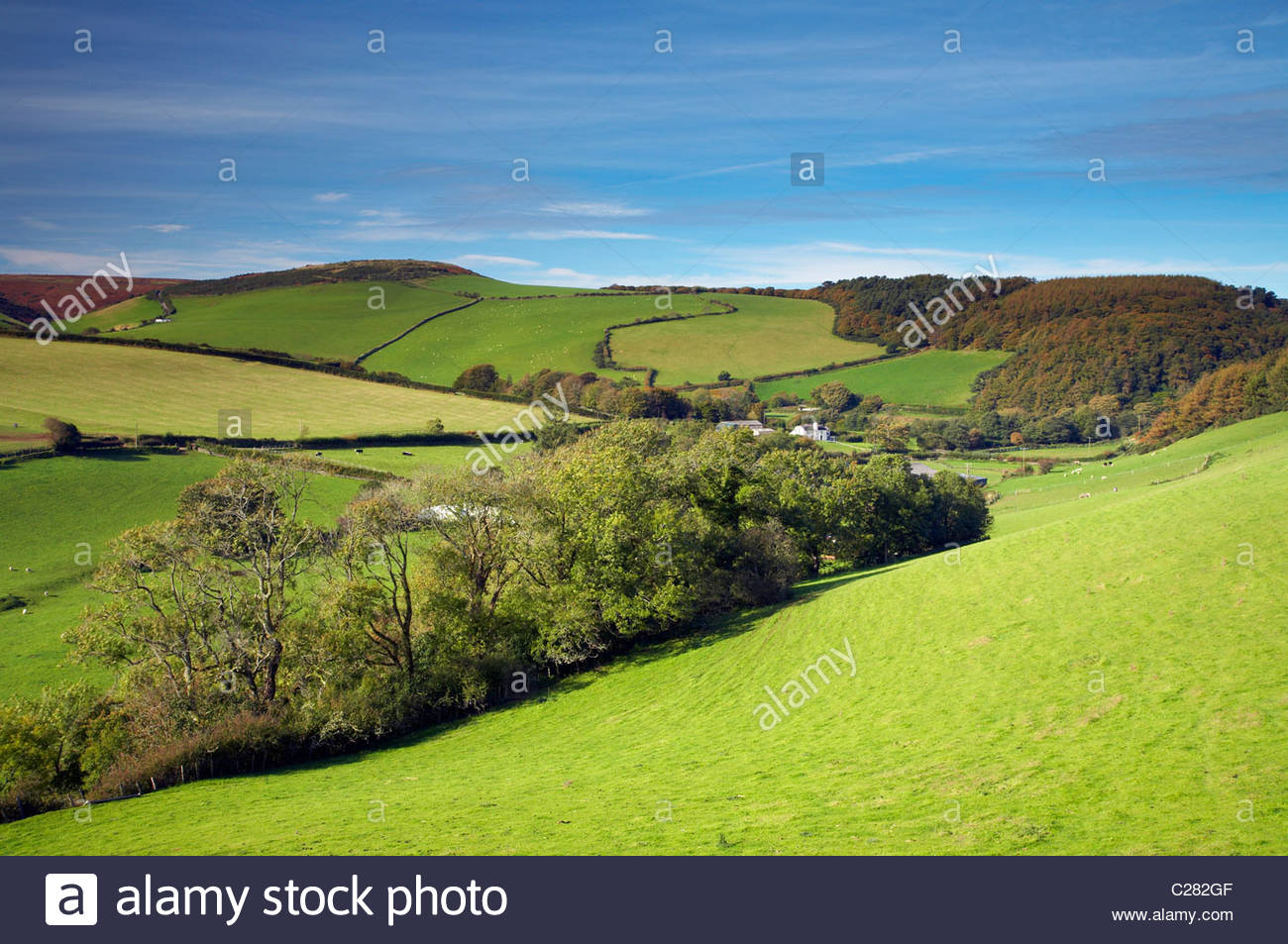 Devon And Somerset Border Stock Photos & Devon And Somerset Border