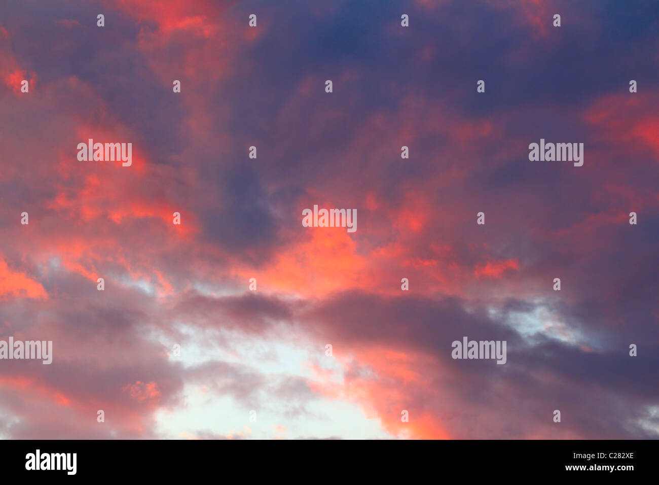 Pink sunset Background Stock Photo - Alamy