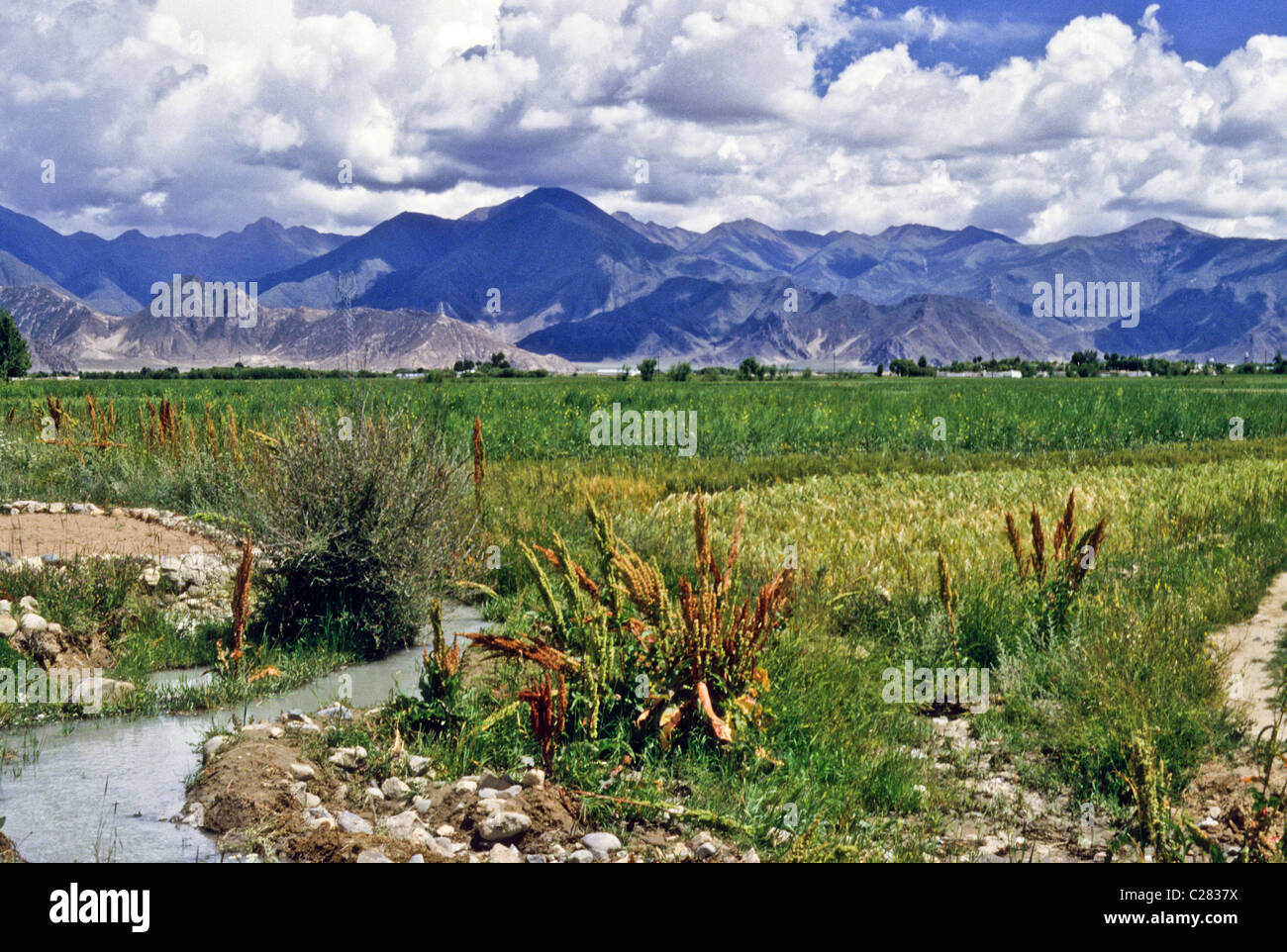 China tibet spring hi-res stock photography and images - Alamy