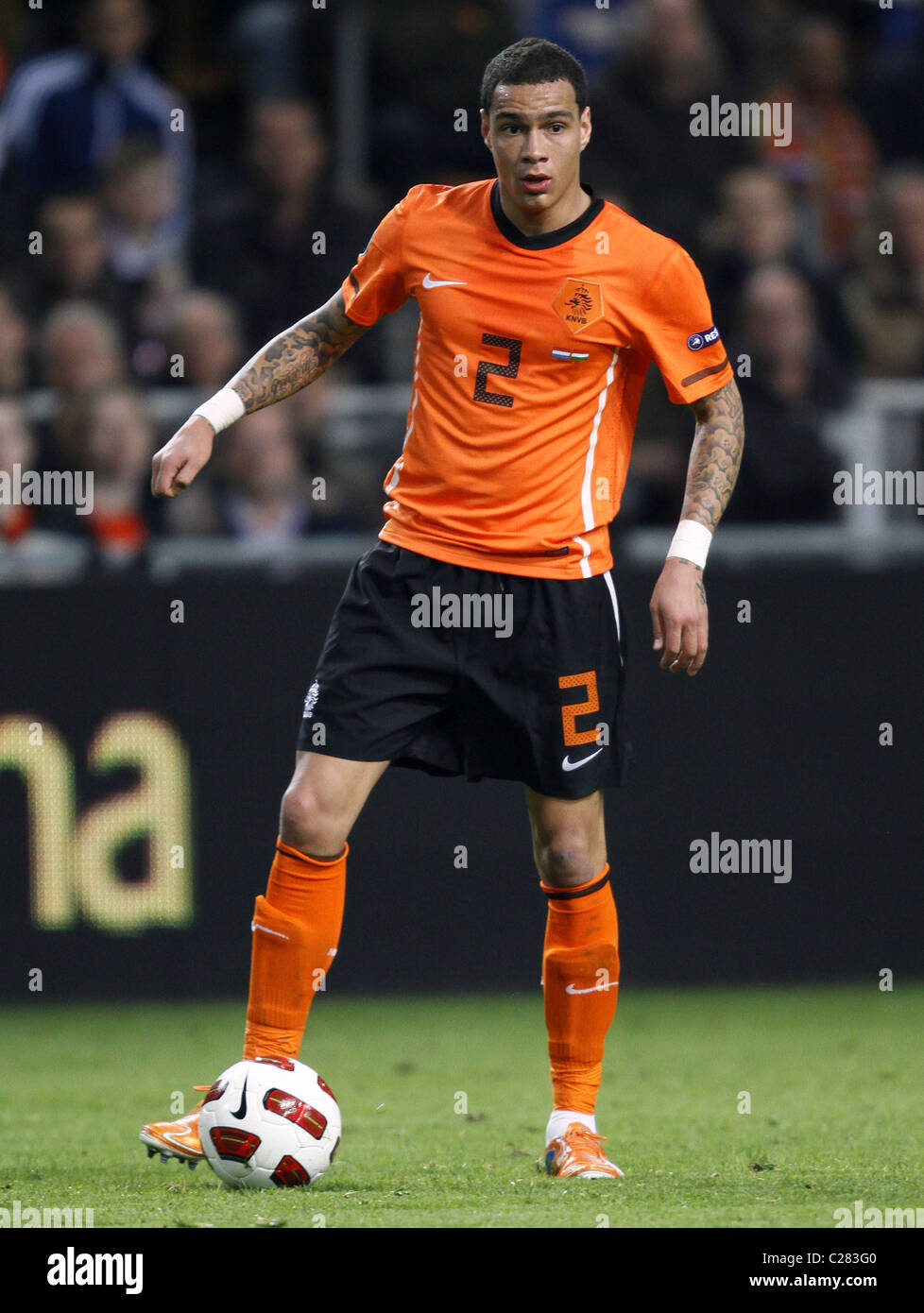 Van Der Wiel 