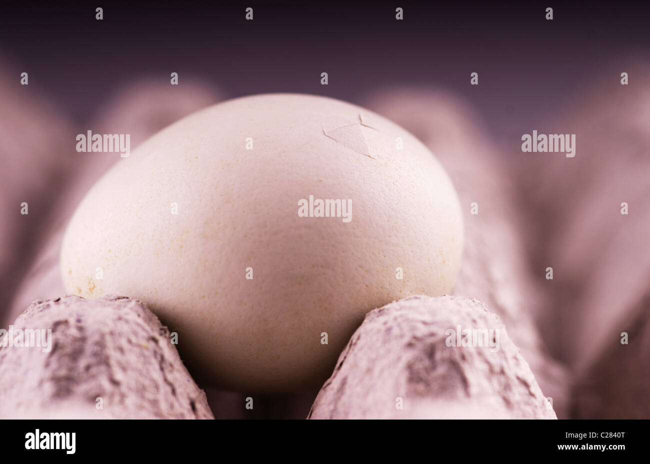 Chick hatching egg hires stock photography and images Alamy