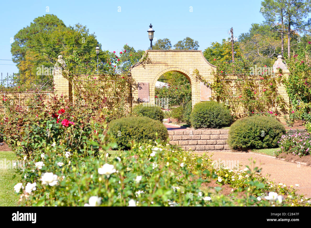 Rose Garden, Tyler, Texas the largest rose garden in the US Stock