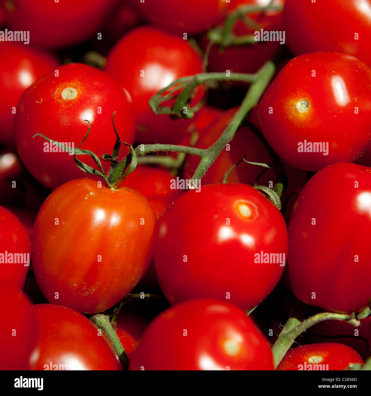 Pile of green Vine tomatoes at a farmers Market Stock Photo - Alamy