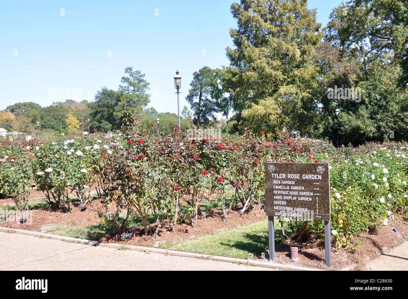 Rose Garden, Tyler, Texas largest rose garden in the US Stock Photo