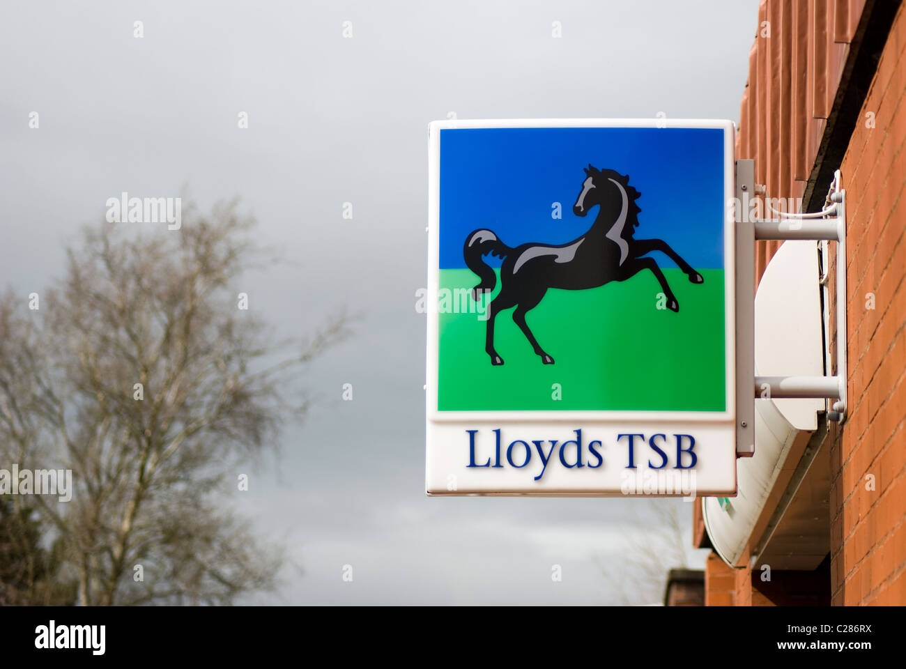 Lloyds TSB Bank Sign Stock Photo