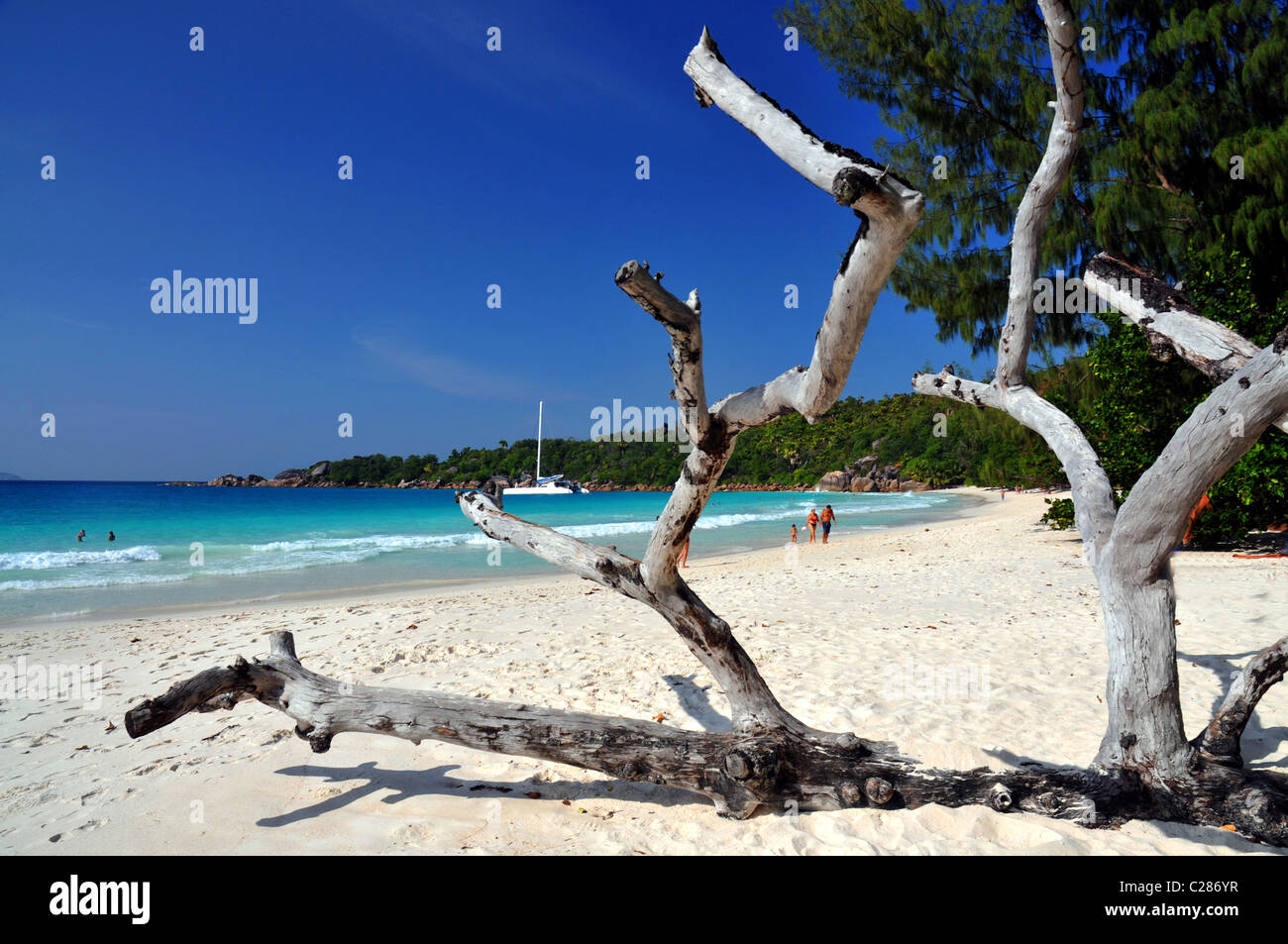 Anse Lazio, Praslin Island, Seychelles. Stock Photo