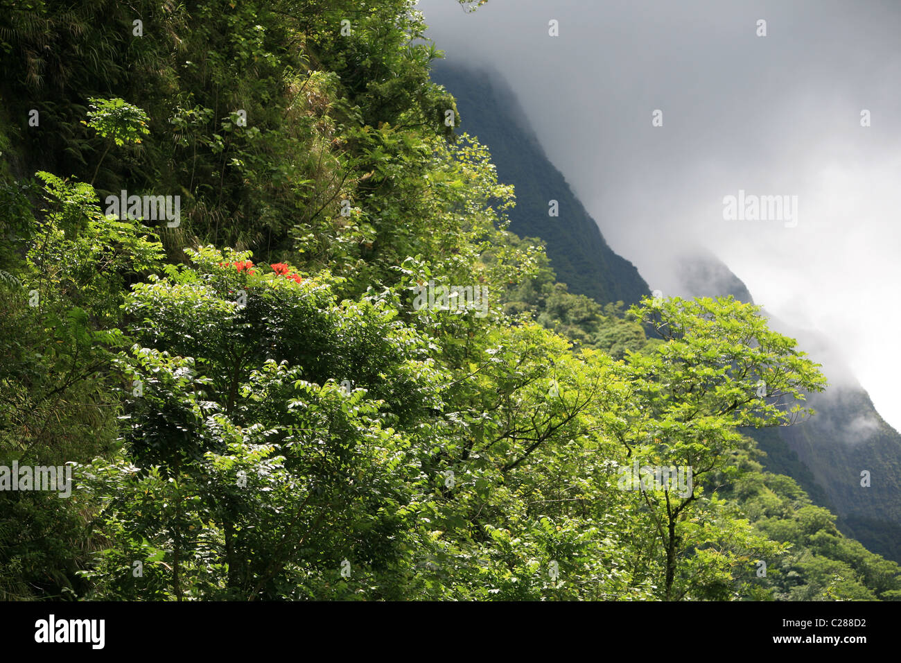 Tahiti Stock Photo