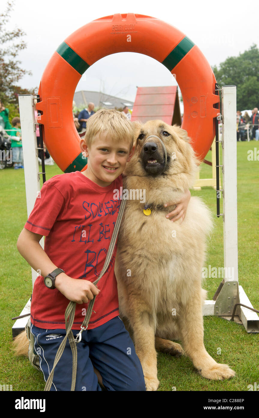 Dog training event obstacle training course Stock Photo