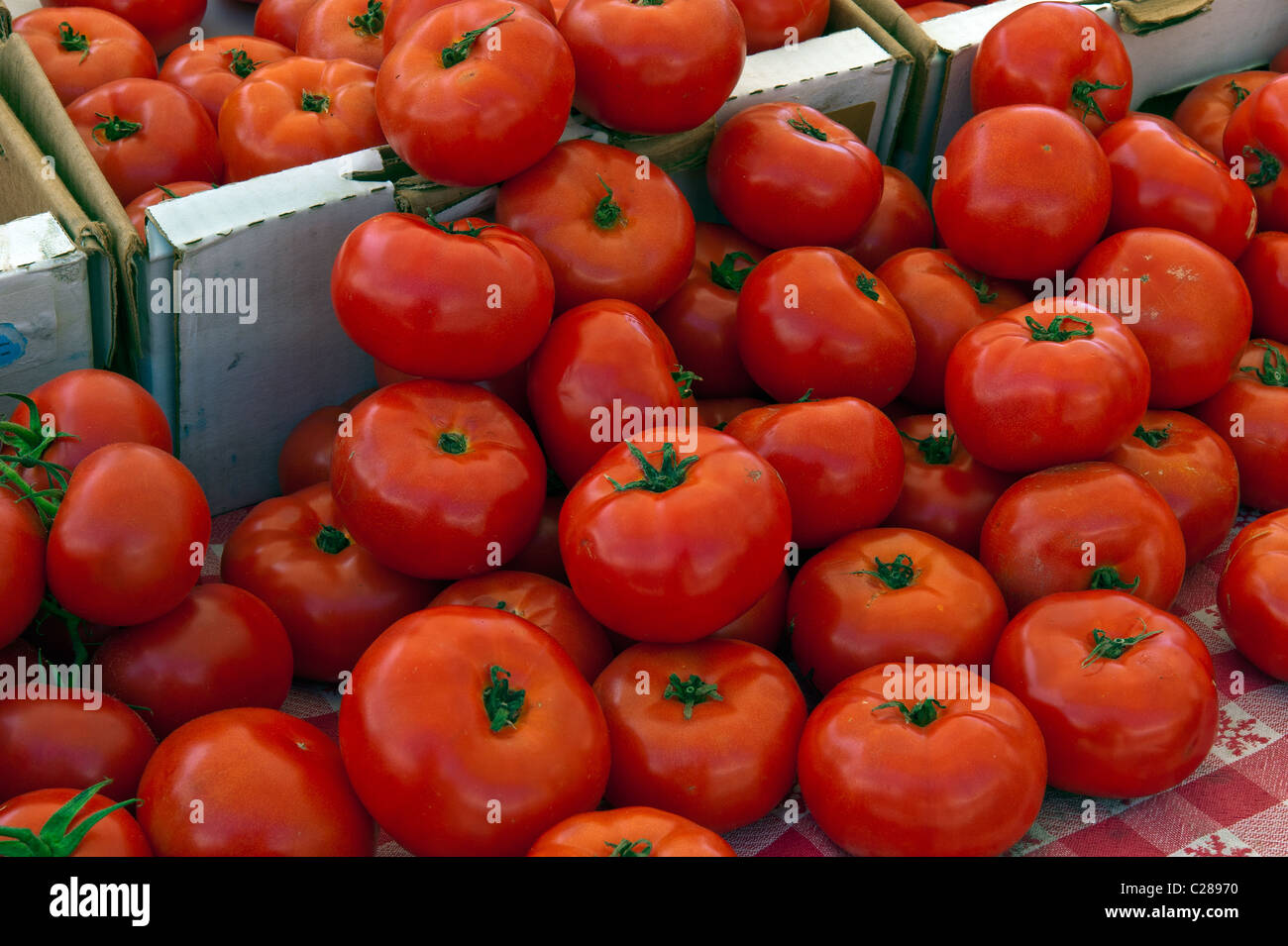 organic tomatoes on display for sale at the local Goleta farmers market ...
