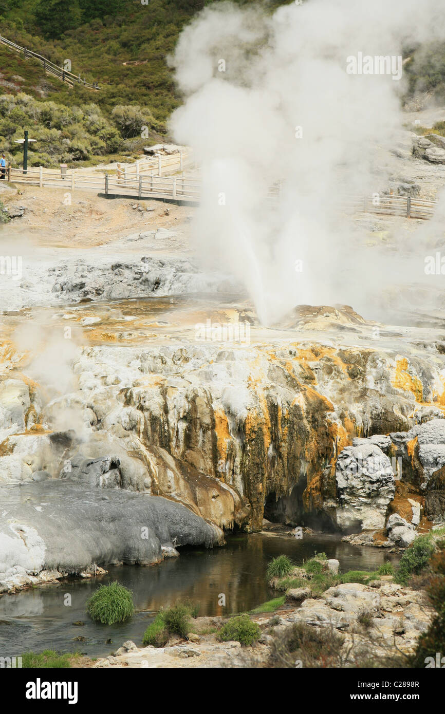 Pohutu Geyser Viewed From The Quality Inn Hotel Geyserland Fenton