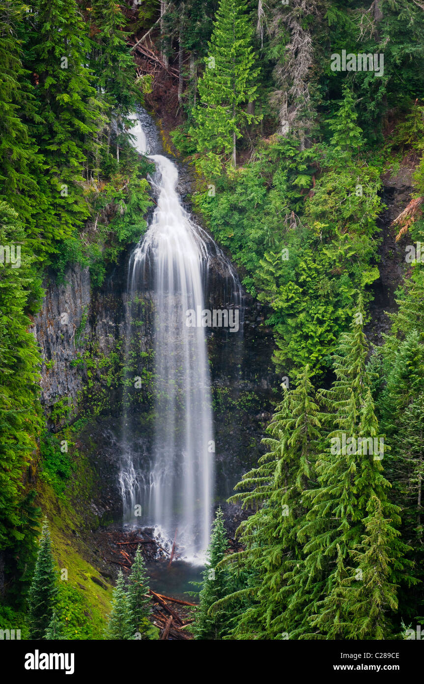 Martha Falls in Stevens Canyon; Mount Rainier National Park, Washington. Stock Photo