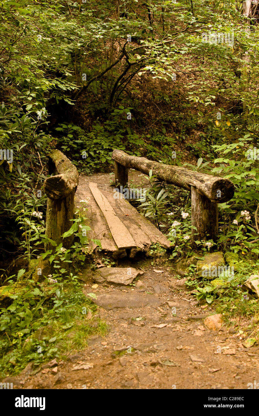 Cascade Falls Trail leading to Cascade waterfall located in EB Jeffress Park Wilkes County North Carolina Blue Ridge Mountains Stock Photo