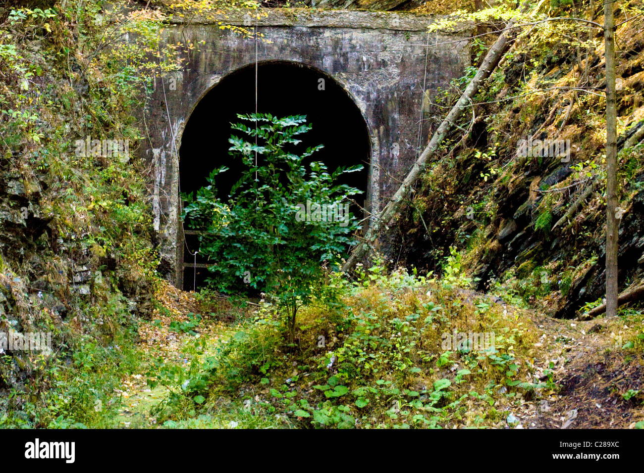 Abandoned right of way of the Western Maryland Railway tunnel in Green Ridge State Forest in Allegheny County Maryland Stock Photo