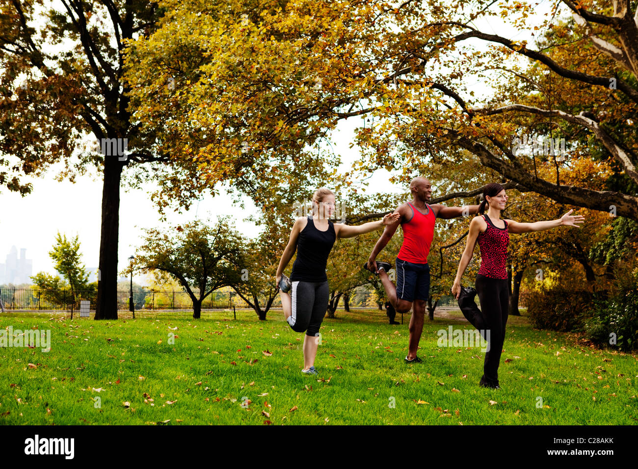 Park Rouph A group of people in the park stretching Stock Photo - Alamy